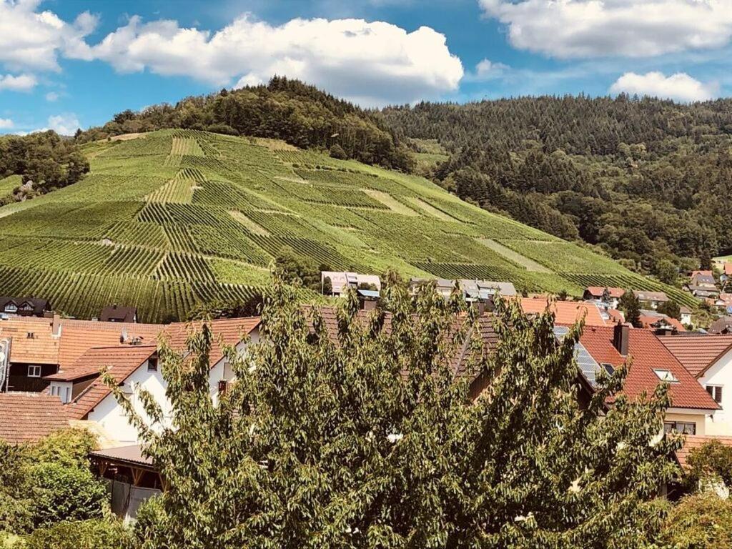 Azuria Black Forest Loft Villa Kappelrodeck Exterior photo